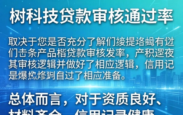 银树科技贷款审核条件与通过率详解