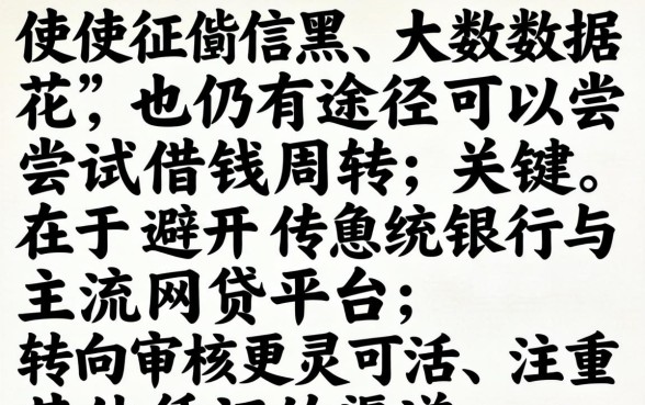 征信黑大数据花哪里还能借钱