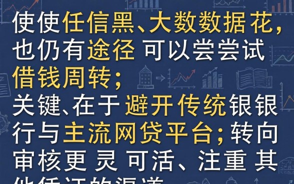 征信黑大数据花哪里还能借钱