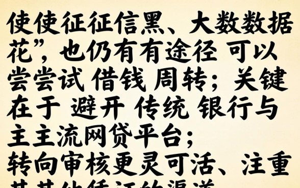 征信黑大数据花哪里还能借钱