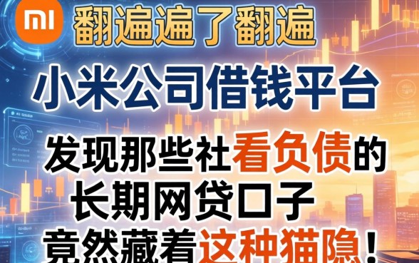 我翻遍了小米公司借钱平台，发现那些不看负债的长期网贷口子竟然藏着这种猫腻