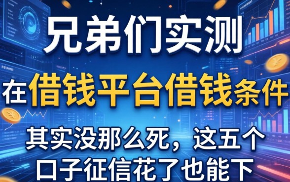 兄弟们实测：在借钱平台借钱的条件其实没那么死，这五个口子征信花了也能下