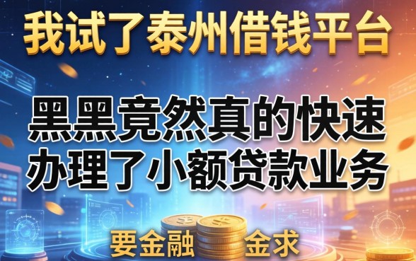 我试了泰州借钱平台，黑户竟然真的快速办理了小额贷款业务