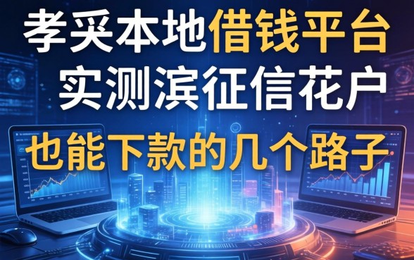 孝感本地借钱平台实测，征信花户也能下款的几个路子