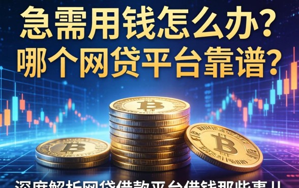 急需用钱怎么办？哪个网贷平台靠谱？深度解析网袋借款平台借钱那些事儿