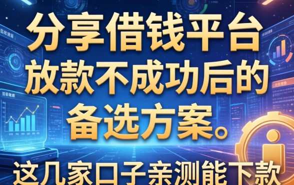分享个借钱平台放款不成功后的备选方案，这几家口子亲测能下款