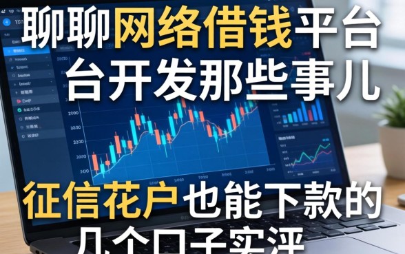 聊聊网络借钱平台开发那些事儿：征信花户也能下款的几个口子实测