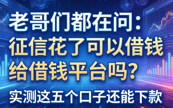 老哥们都在问：征信花了可以借钱给借钱平台吗？实测这五个口子还能下款
