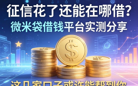 征信花了还能在哪借？微米袋借钱平台实测分享，这几家口子或许能帮到你