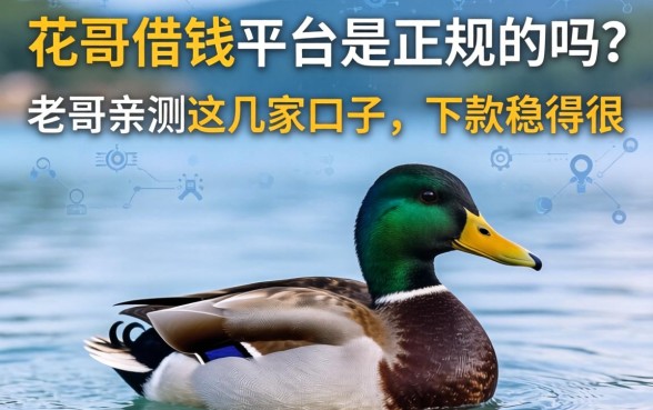花鸭借钱平台是正规的吗？老哥亲测这几家口子，下款稳得很