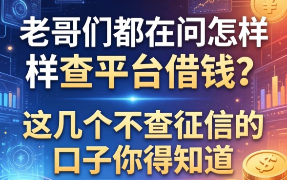 老哥们都在问怎样查平台借钱？这几个不查征信的口子你得知道