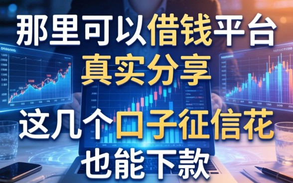 那里可以借钱平台真实分享，这几个口子征信花也能下款