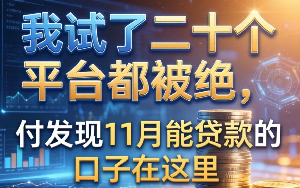 我试了二十个平台都被拒，却发现11月能贷款的口子在这里