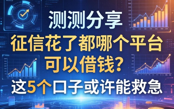 实测分享：征信花了都哪个平台可以借钱？这5个口子或许能救急