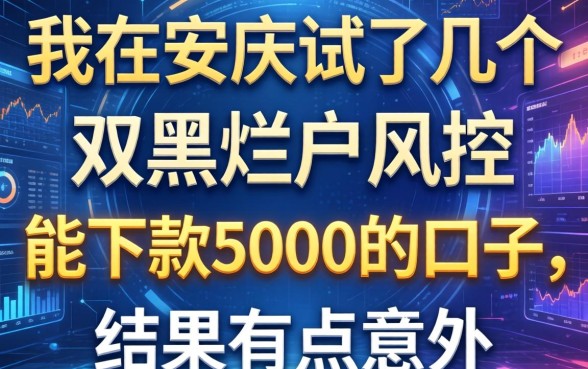 我在安庆试了几个双黑烂户风控能下款5000的口子，结果有点意外
