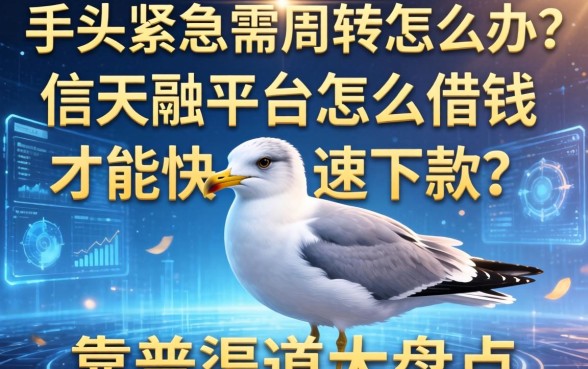 手头紧急需周转怎么办？信天翁平台怎么借钱才能快速下款？靠谱渠道大盘点