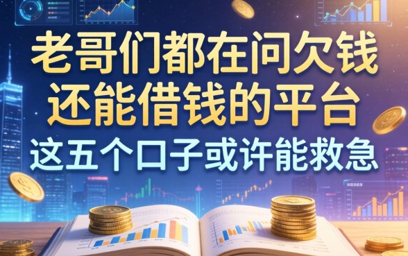 老哥们都在问欠钱还能借钱的平台，这五个口子或许能救急
