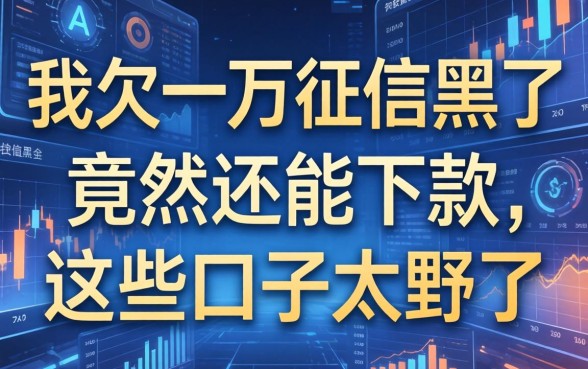 我欠了一万征信黑了，竟然还能下款，这些口子太野了