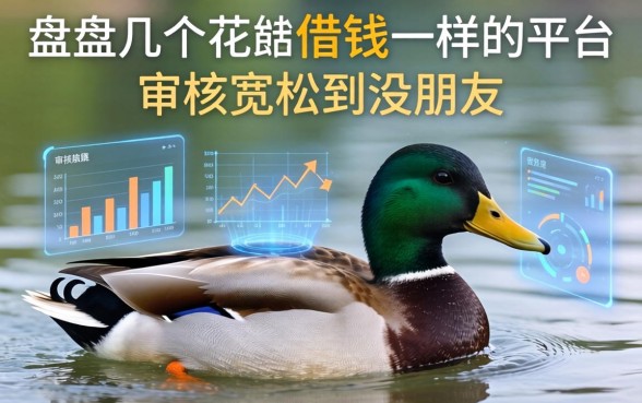 盘点几个花鸭借钱一样的平台，审核宽松到没朋友