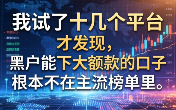我试了十几个平台才发现，黑户能下大额款的口子根本不在主流榜单里