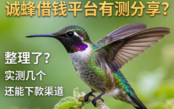 蜂鸟借钱平台实测分享，整理了几个还能下款的渠道