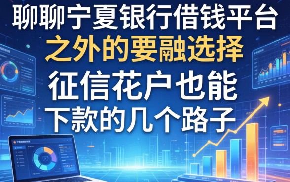 聊聊宁夏银行借钱平台之外的选择：征信花户也能下款的几个路子