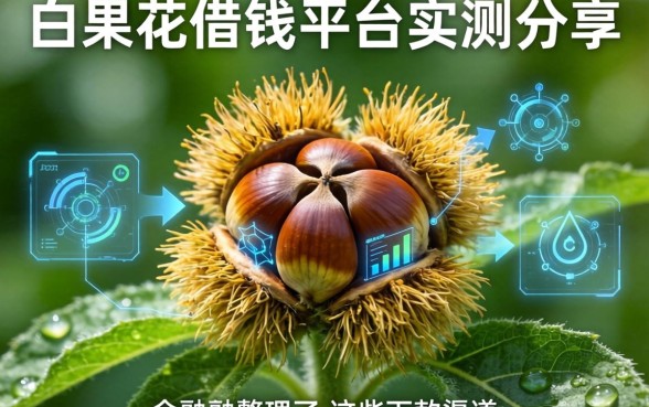 白果花借钱平台实测分享，整理了这些下款渠道