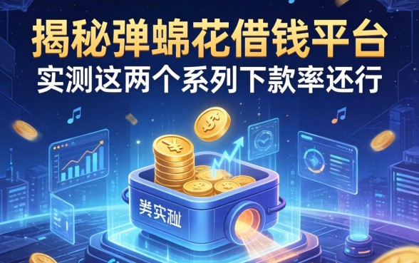 揭秘弹棉花借钱平台：实测这两个系列下款率还行