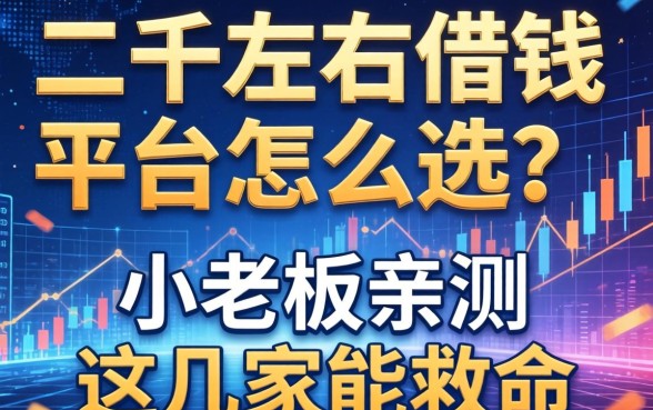 二千左右借钱平台怎么选？小老板亲测这几家能救命