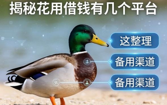 揭秘花鸭借钱有几个平台，整理出这些备用渠道
