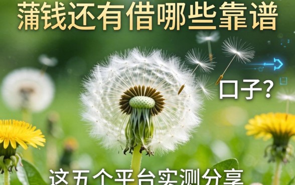 除了蒲公英借钱，还有哪些靠谱的口子？这五个平台实测分享