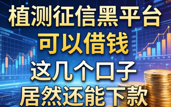实测征信黑平台可以借钱，这几个口子居然还能下款