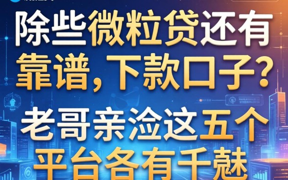 除了微粒贷还有哪些靠谱的下款口子？老哥亲测这五个平台各有千秋