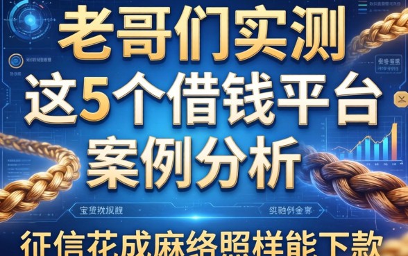 老哥们实测：这5个借钱平台案例分析，征信花成麻花照样能下款