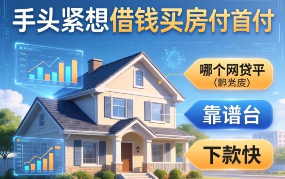 手头紧想借钱买房付首付，哪个网贷平台靠谱且下款快？