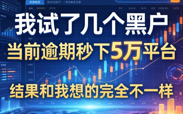 我试了几个黑户当前逾期秒下5万平台，结果和我想的完全不一样