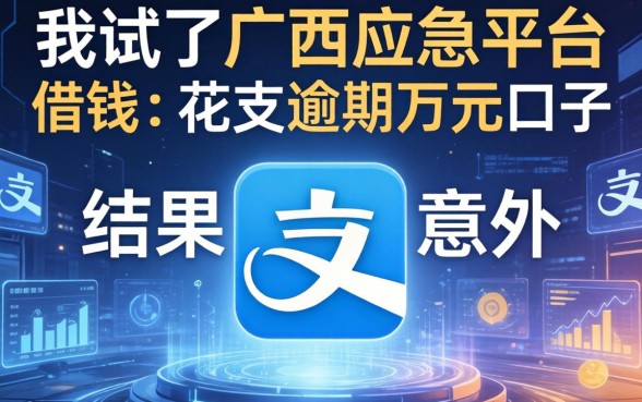 我试了广西应急平台借钱和花呗逾期万元口子，结果有点意外