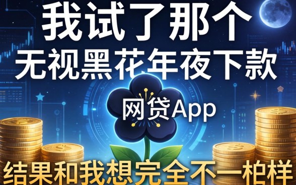 我试了那个无视黑花半夜下款的网贷app，结果和我想的完全不一样