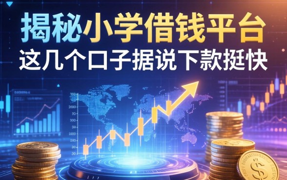 揭秘小学借钱平台：这几个口子据说下款挺快
