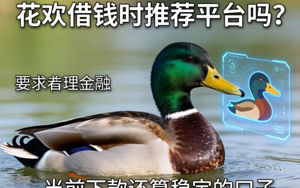 花鸭借钱时推荐平台吗？整理几个当前下款还算稳定的口子