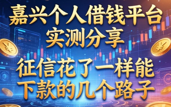 嘉兴个人借钱平台实测分享：征信花了一样能下款的几个路子