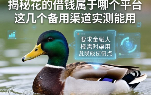 揭秘花鸭借钱属于哪个平台，这几个备用渠道实测能用