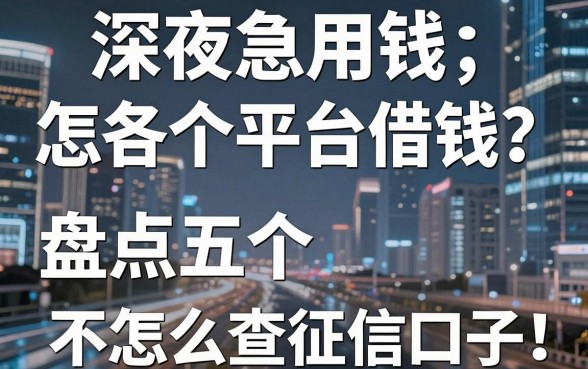 深夜急用钱怎么各个平台借钱？盘点五个不怎么查征信的口子