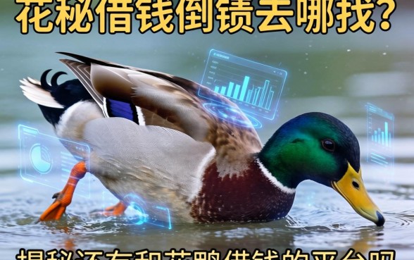 花鸭借钱倒了去哪找？揭秘还有和花鸭借钱的平台吗