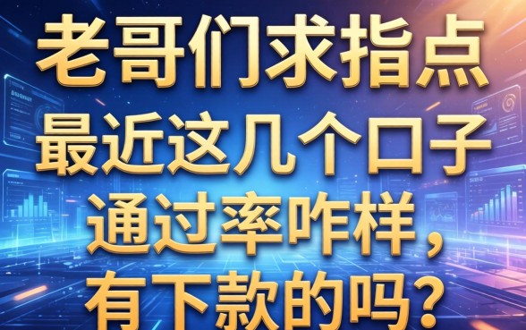 老哥们求指点，最近这几个口子通过率咋样，有下款的吗？