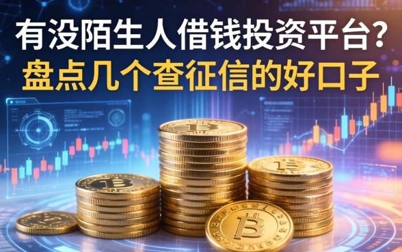 有没陌生人借钱投资平台？盘点几个不查征信的好口子
