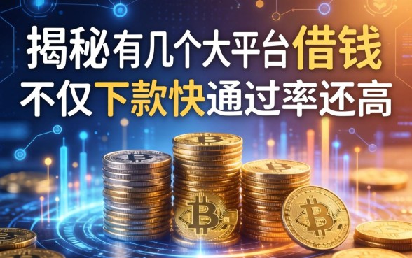 揭秘有几个大平台可以借钱，不仅下款快通过率还高