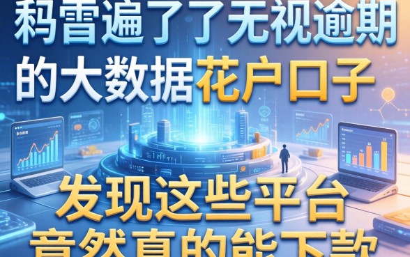 我翻遍了无视逾期的大数据花户口子，发现这些平台竟然真的能下款