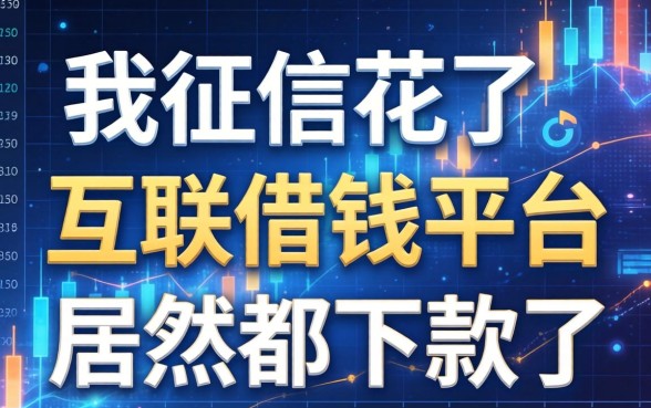 我征信花了，在互联借钱平台居然都下款了
