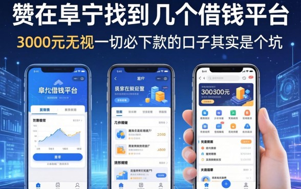 我在阜宁找到的几个借钱平台，3000元无视一切必下款的口子其实是个坑